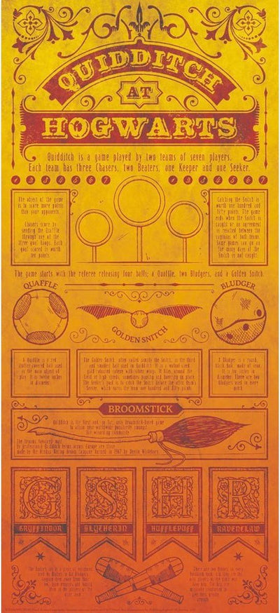 Poster sans marque - Harry Potter Quidditch - 19 x 42 cm - multicolore