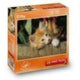Kitten de puzzle 3d 35 pièces