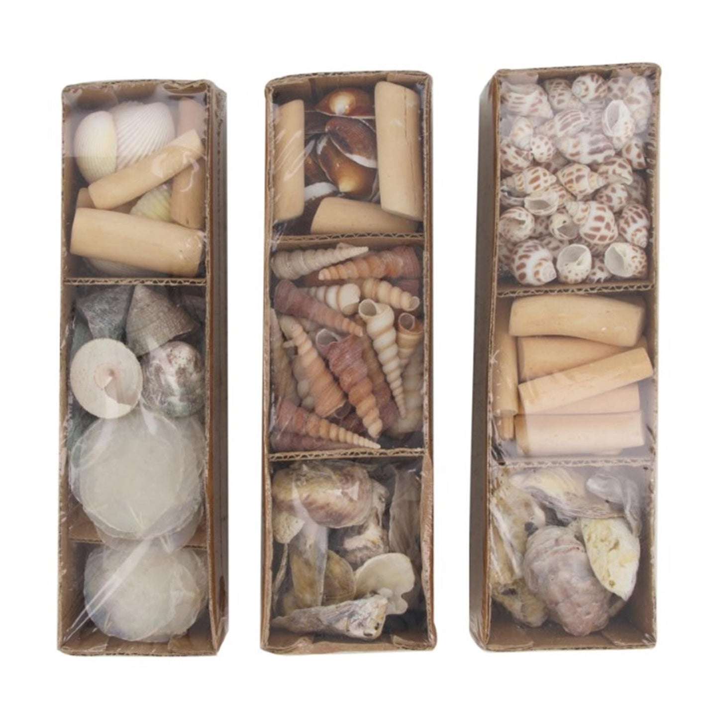 Dijk collections naturelles coquillages en plateau 28x8x8cm