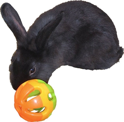 Boule de rongeur en plastique avec cloche
