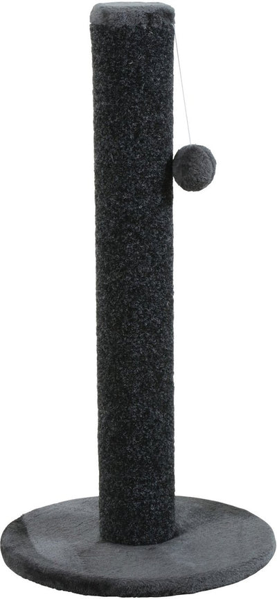 Zolux Oliver grattant le gris foncé