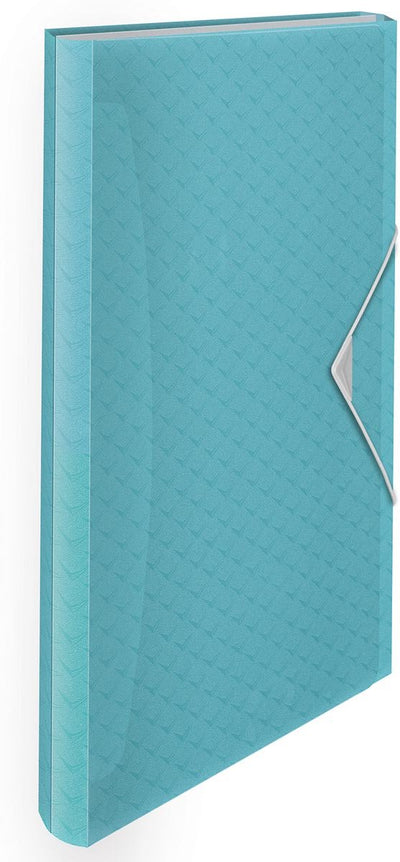 Esselte colour'breeze dossier de projet extensible a4 - organisateur avec 5 onglets 6 compartiments - bleu