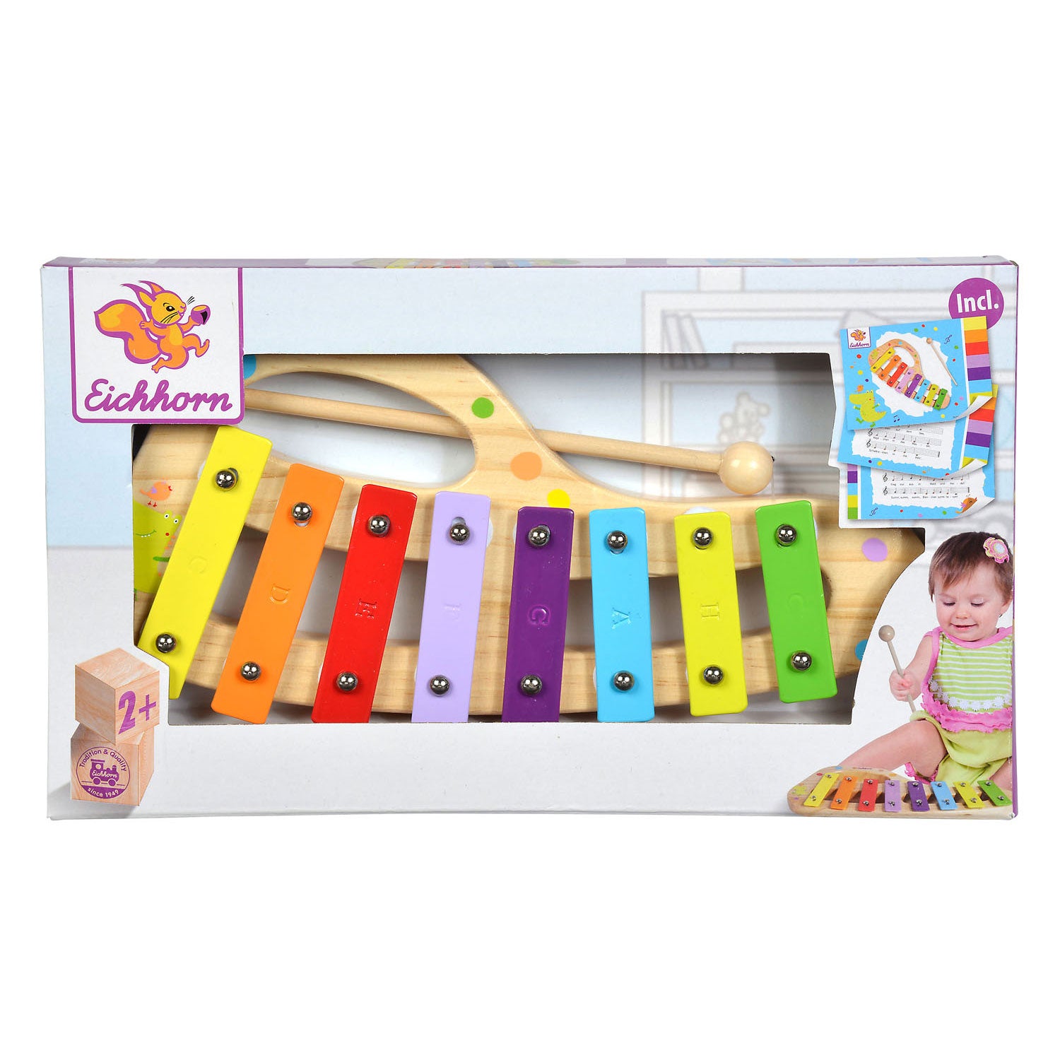 Xylophone eichhorn