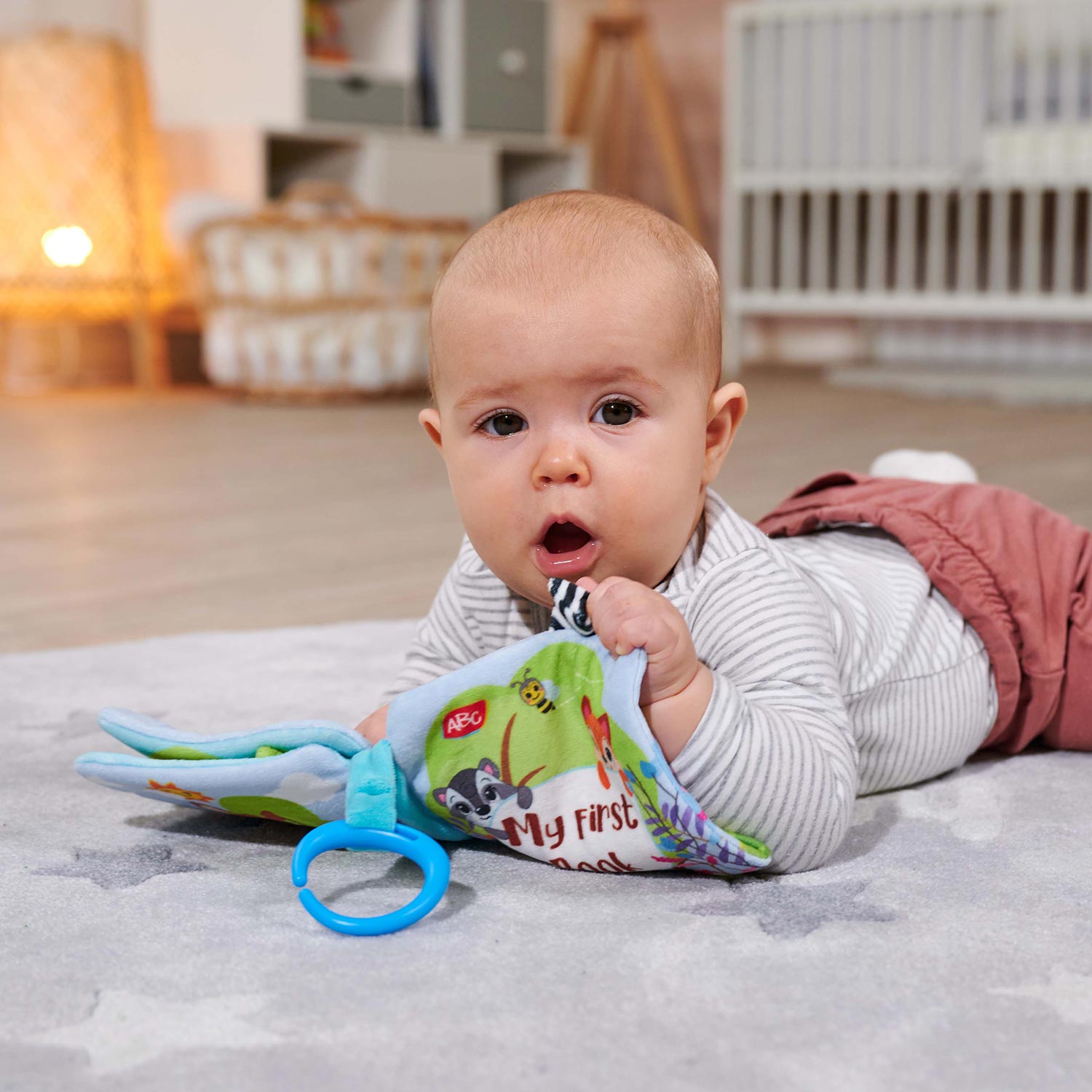 ABC Forest Friends Plushen Livre