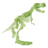 Glow dans l'ensemble d'excavation T-Rex sombre