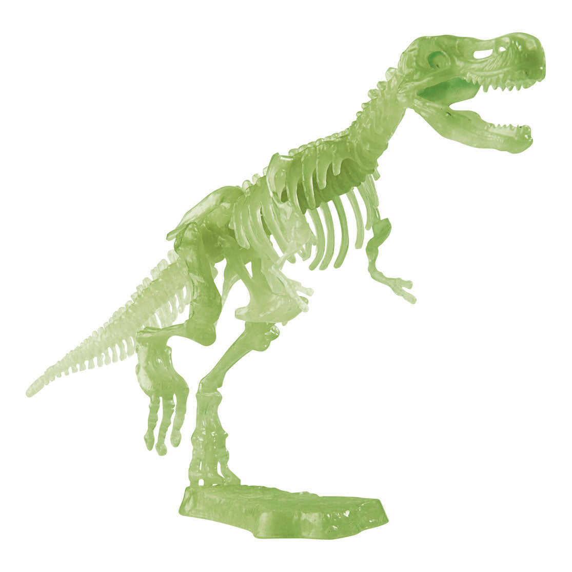 Glow dans l'ensemble d'excavation T-Rex sombre