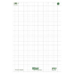 Blocs pour tableau de conférence Ursus carreaux verts 20 feuilles