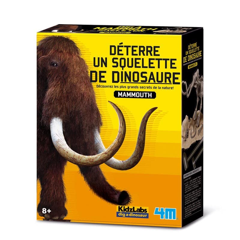 4m Creusez votre propre dinosaure sur le Mammoet Kidzlabs