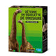 4m Creusez votre propre dinosaure sur le T Rex Kidzlabs