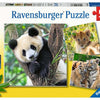 Ravensburger - Puzzle Panda Tiger and Lion 3x49st.