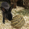 Happy Pet Playball Willow