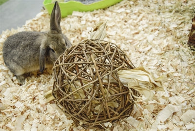 Saule, premier jouet pour animaux de compagnie heureux de la nature