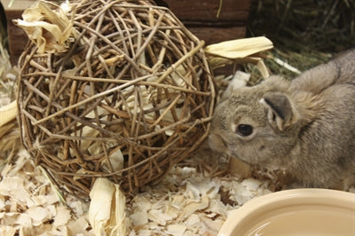 Nature First Playball Willow Nature d'abord