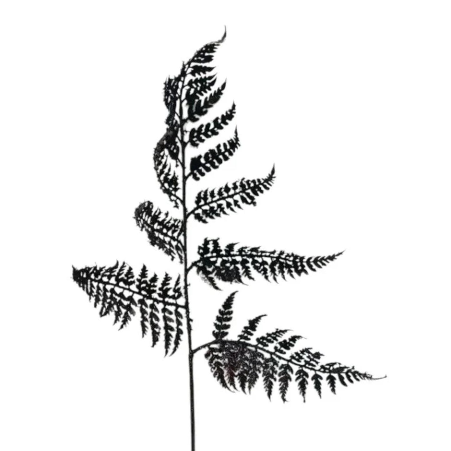 Atmosphère Mansion branche artificielle fougère marron 88cm