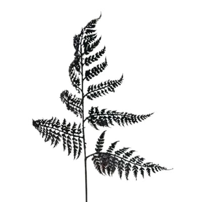 Atmosphère Mansion branche artificielle fougère marron 88cm