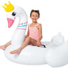 Intex gonflable «majestueux» zwaan