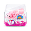 Animaux de compagnie vivants nager axolotl assorti