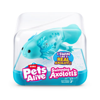Animaux de compagnie vivants nager axolotl assorti