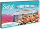 Dreamworks Spirit Stamp and Color Set 41 Cher