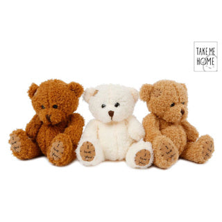 Ramenez-moi à la maison en peluche ours 18 cm 3 assorti