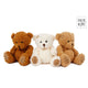 Ramenez-moi à la maison en peluche ours 18 cm 3 assorti
