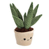 Pluchiez plantes peluche 3 assortis | 3 pièces