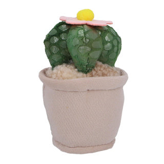 Plantes en peluche Pluchiez 15 cm Assorti
