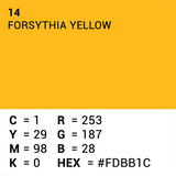 Papier de fond supérieur 14 Forsythia jaune 1,35 x 11m - afbeelding 5