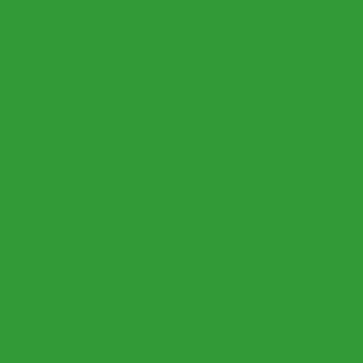 Papier de fond supérieur 54 Clé chroma Stinger 1,35 x 11m