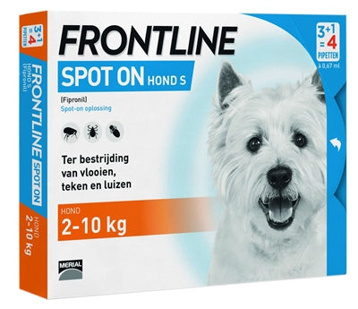 Papin de chien de première ligne sur petit
