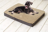 Sun Garden Sun Garden Buddy Orthopedic Dog Cushion 72x50x8cm Donkerbuin beige - afbeelding 1