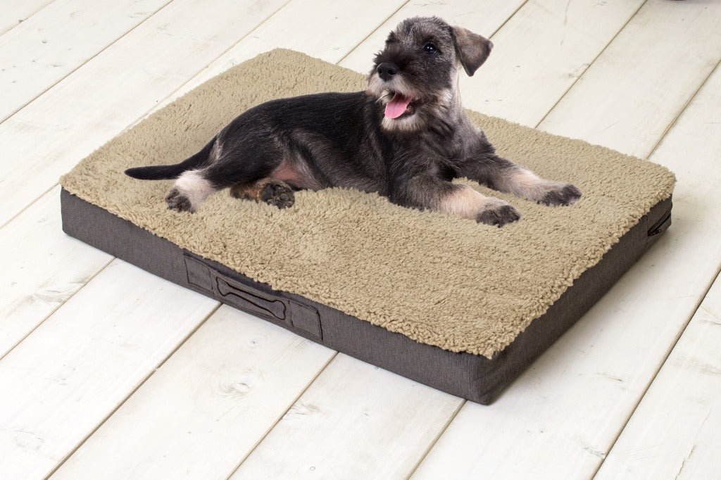 Sun Garden Sun Garden Buddy Orthopedic Dog Cushion 79x60x8cm beige brun foncé