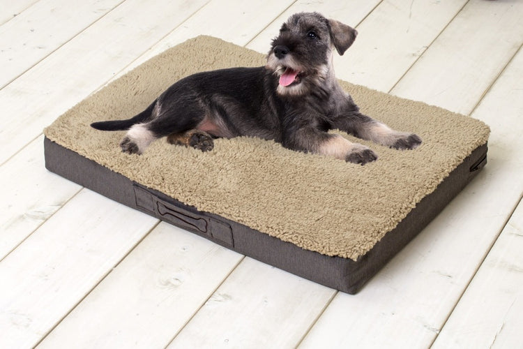 Sun Garden Sun Garden Buddy Orthopedic Dog Cushion 79x60x8cm beige brun foncé