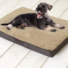 Sun Garden Sun Garden Buddy Orthopedic Dog Cushion 140x100x10cm Donkerbuin beige