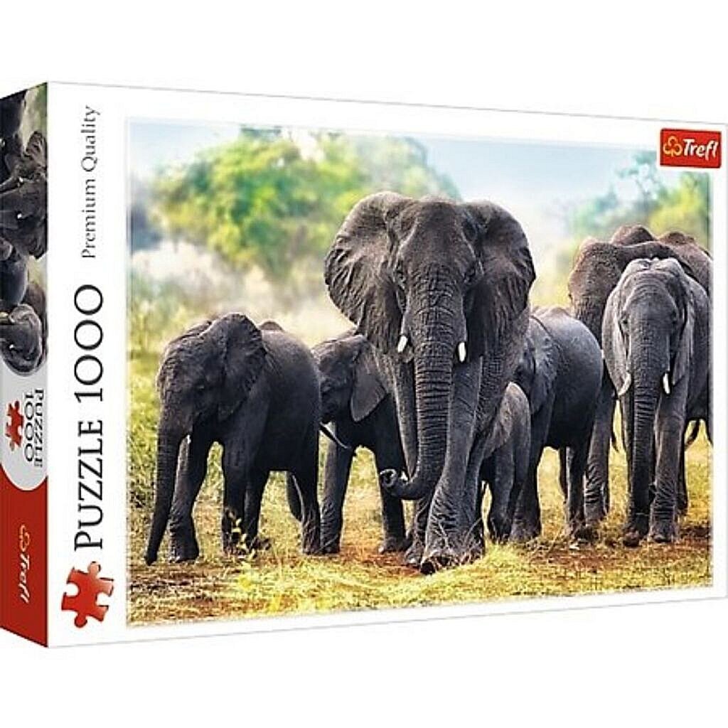 Puzzle des éléphants africains, 1000st.