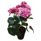 Atmosphère Mansion plante artificielle pélargonium rose 42cm