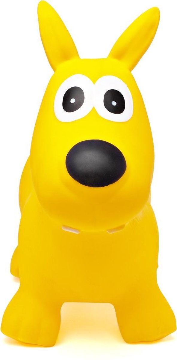 Chien hippie skippy jaune