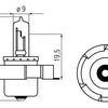 Bosma lampe 12V-15W P26S Halogène