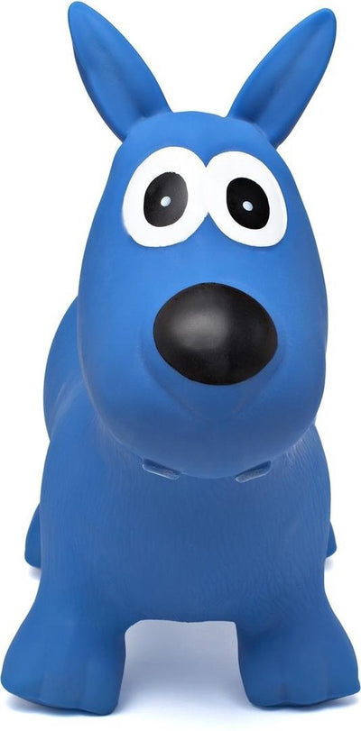Chien hippie skippy bleu