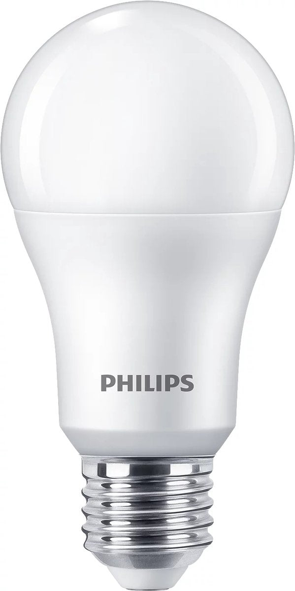 Lampe LED Philips mate - 100 w - E27 - lumière blanc froid - 2 pièces