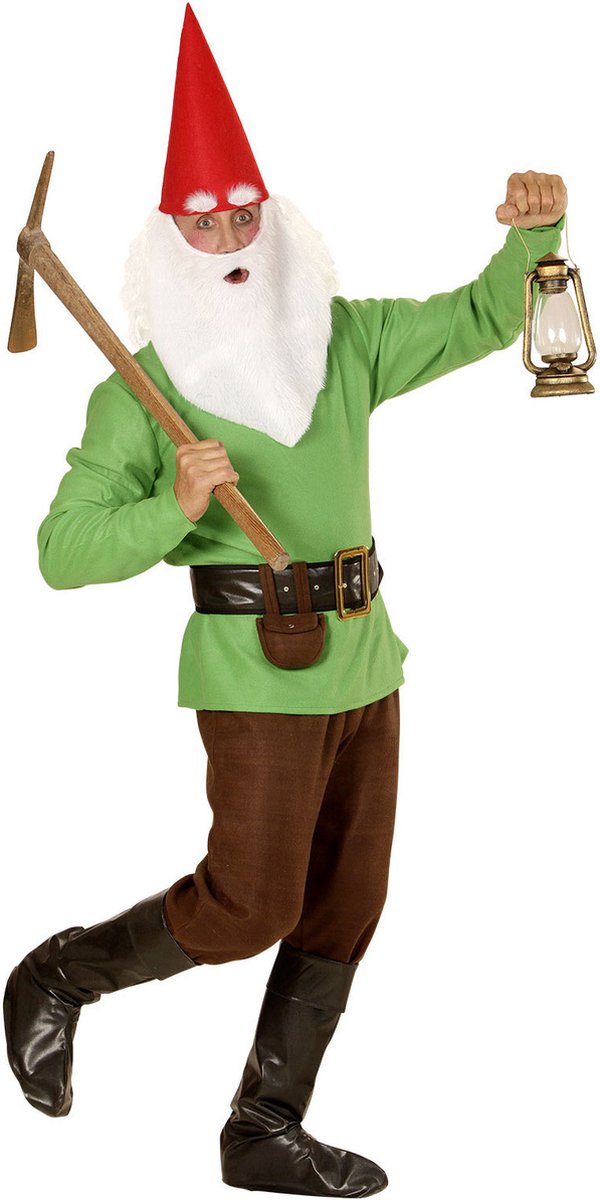 Costume de gnome Finidi vert