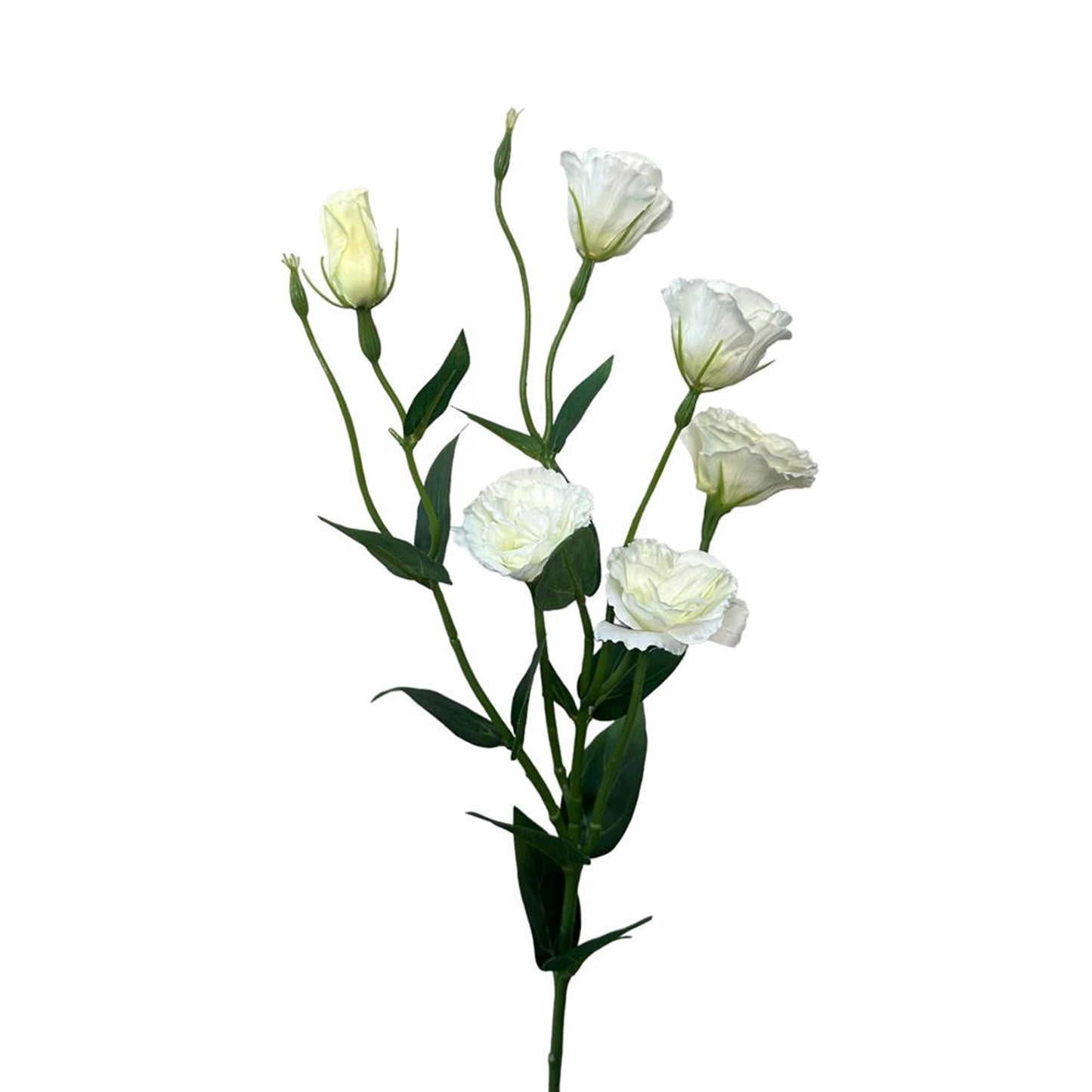 Roberts collection fleur artificielle lisianthus spray 80cm blanc