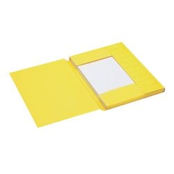 Dossier cache-poussière spectre djois a6010-244 carton 255g m2 a4 jaune 3 rabats recyclés