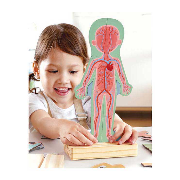 Puzzle magnétique Hape corps humain - 63 pièces.
