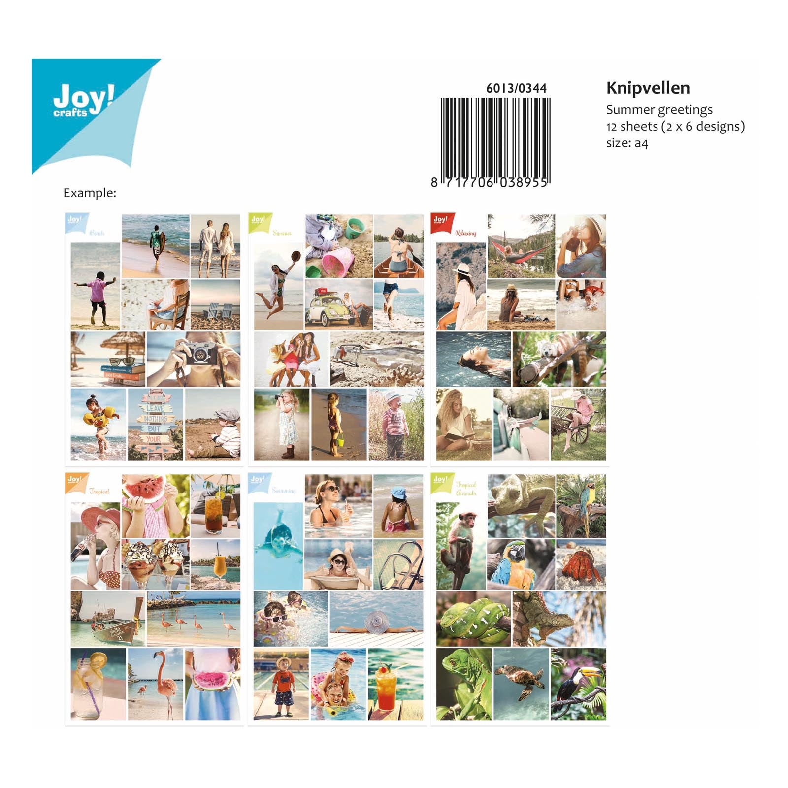 Joy!crafts • feuilles découpées a4 2x6pcs salutations d'été