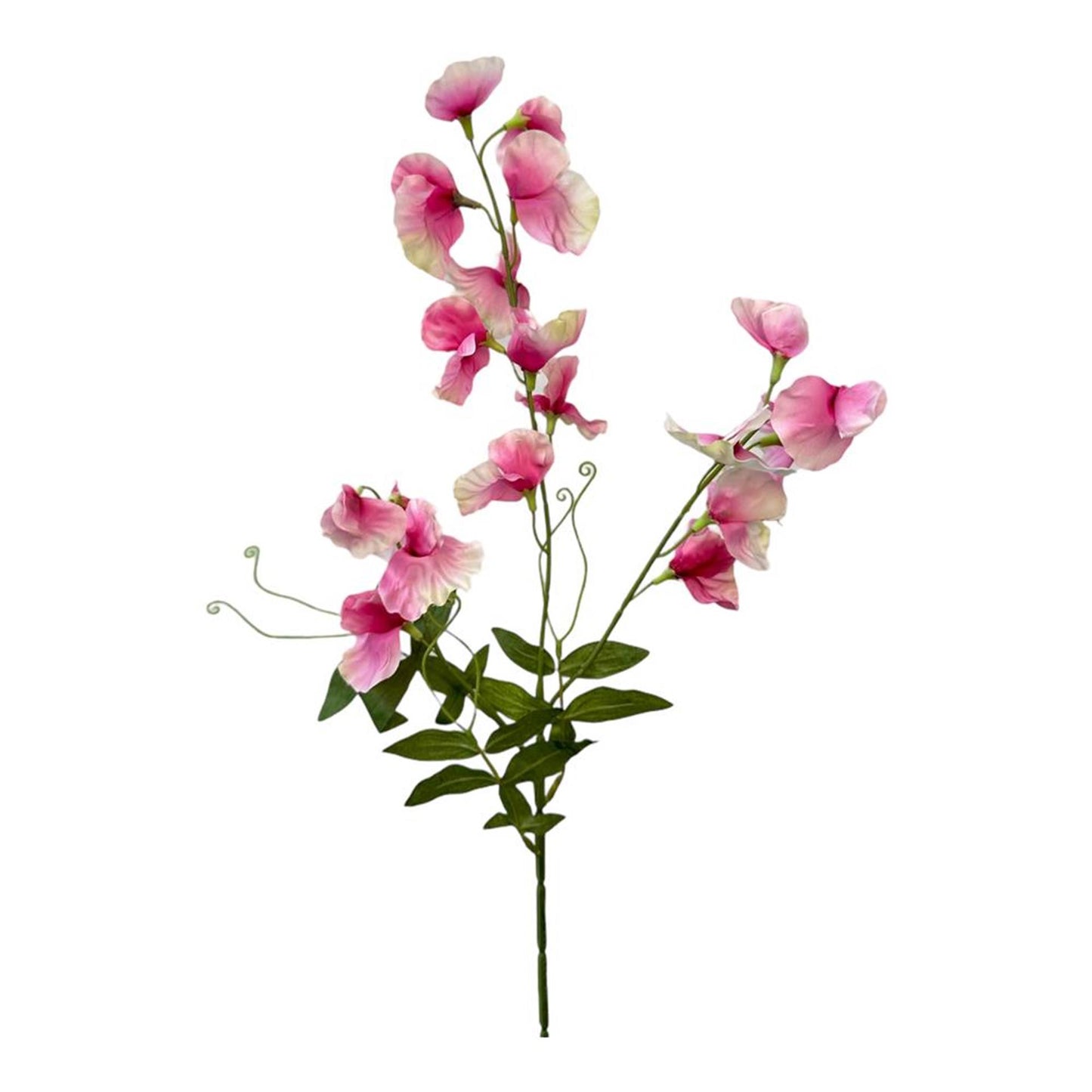 Roberts collection fleur artificielle pois de senteur spray 75cm rose