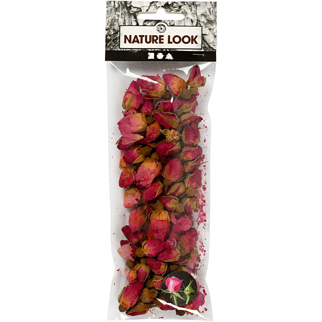 Creativ Company Sèche de fleurs séchées Rose, 15gr