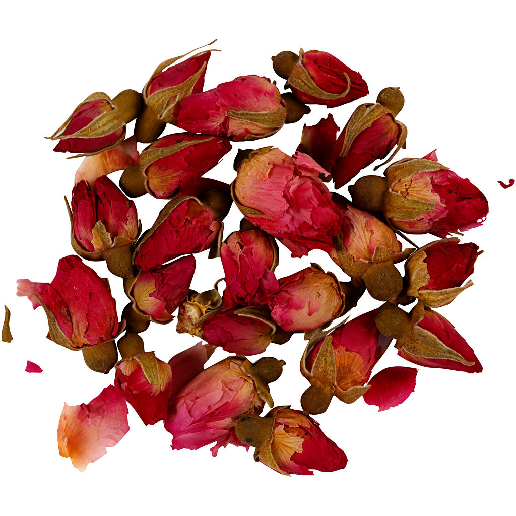 Creativ Company Sèche de fleurs séchées Rose, 15gr
