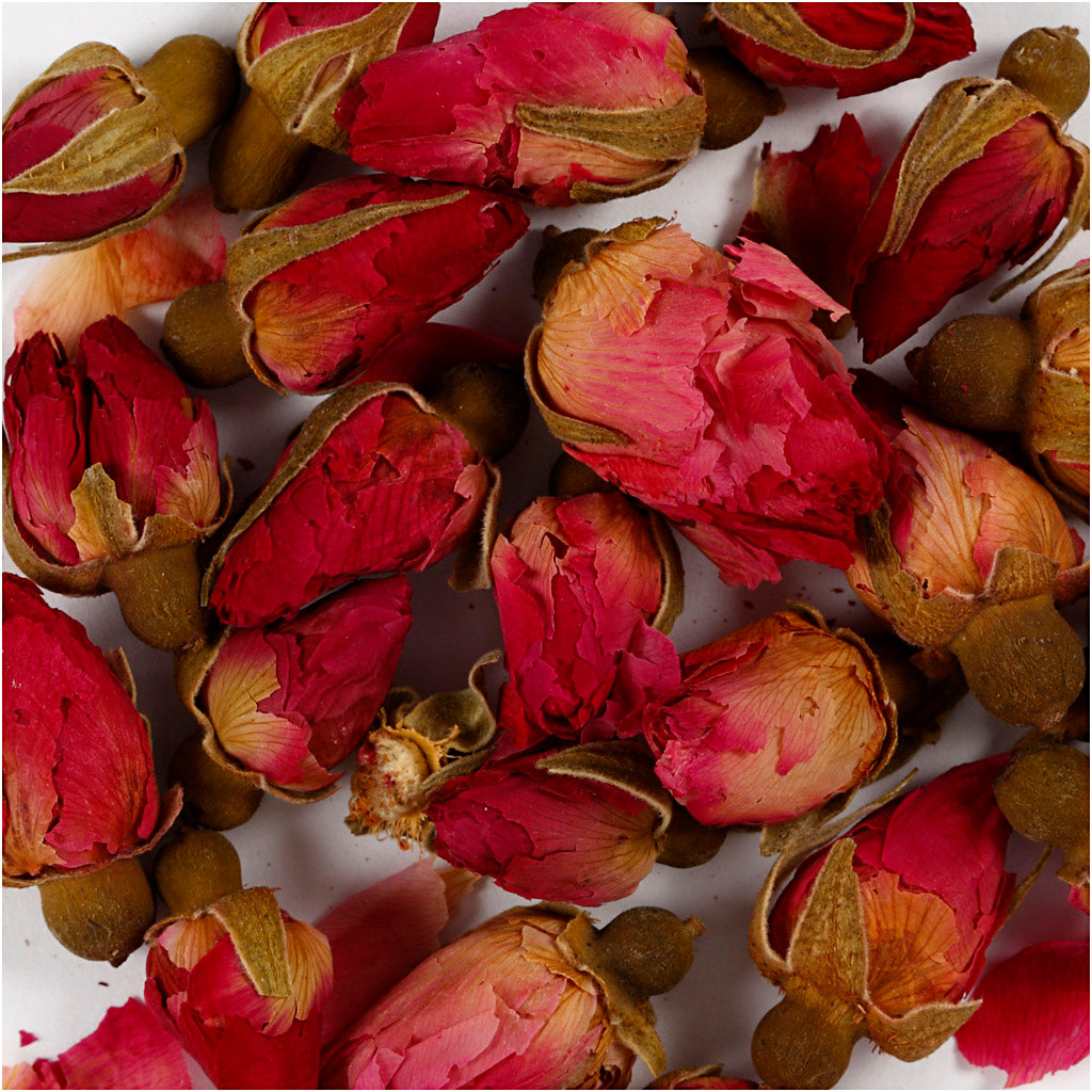 Creativ Company Sèche de fleurs séchées Rose, 15gr