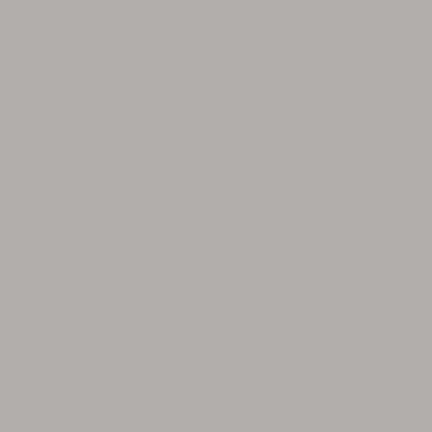 En carton coloré en acier gris A4, 20 feuilles